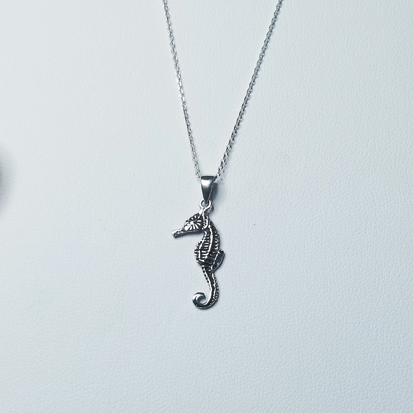 Real Seahorse Necklace