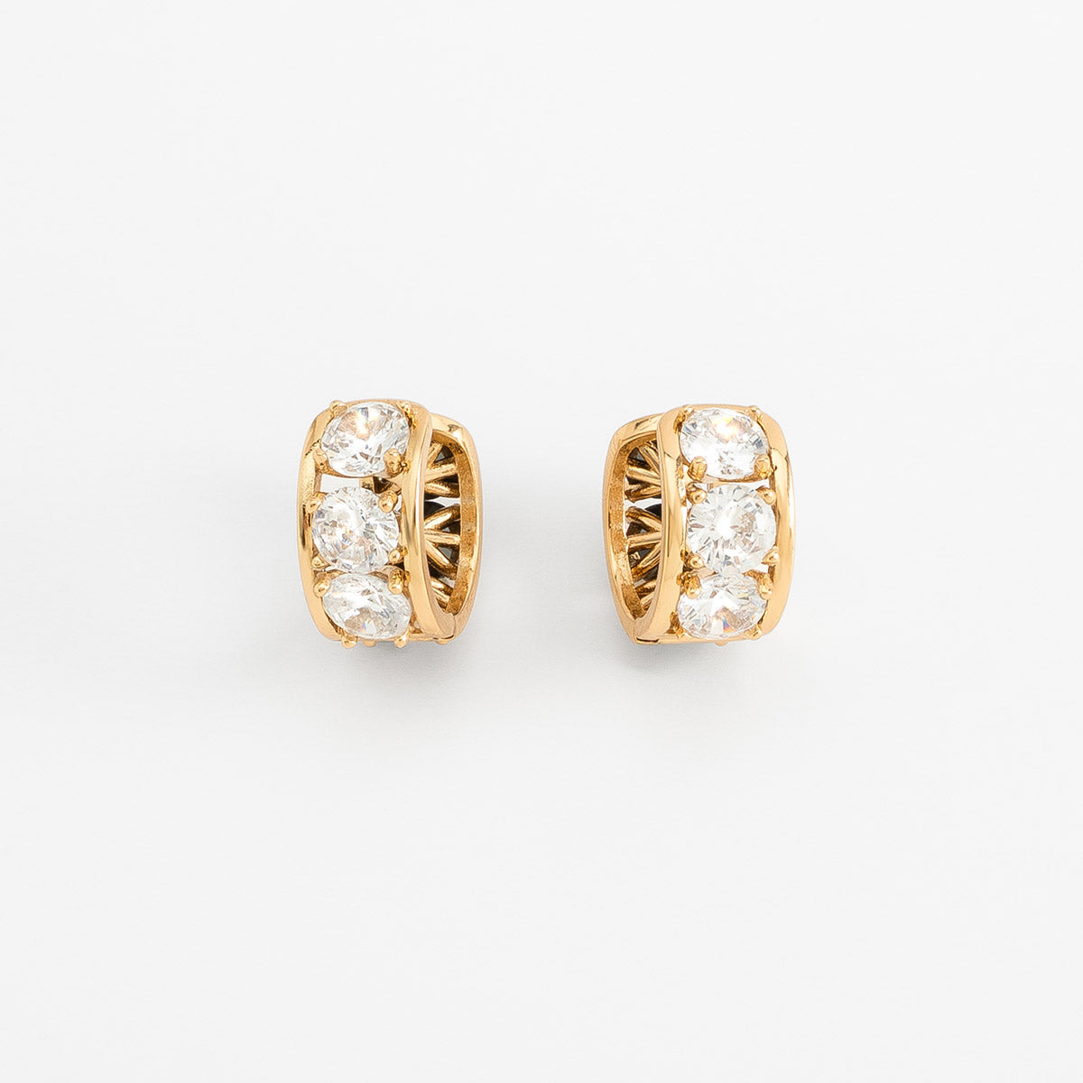 Luxury Dual Hoops Earrings