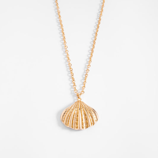 Golden Sunrise Shell Necklace