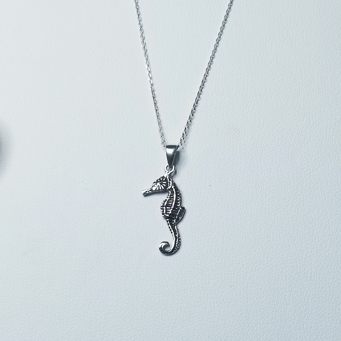 Real Seahorse  Necklace